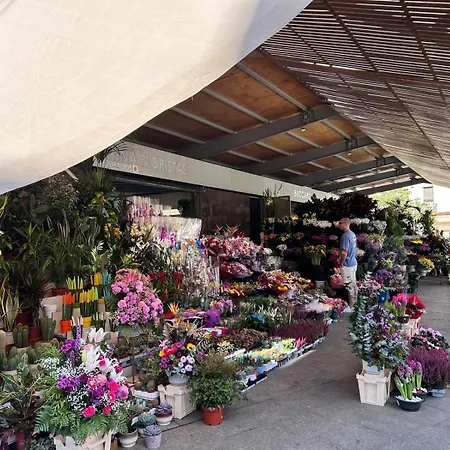 Piso Encantador En El Centro De *