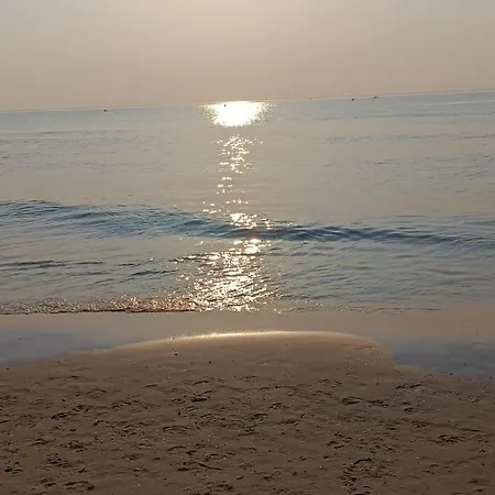 Piso Encantador En El Centro De アリカンテ